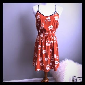 Lush floral A-line dress
